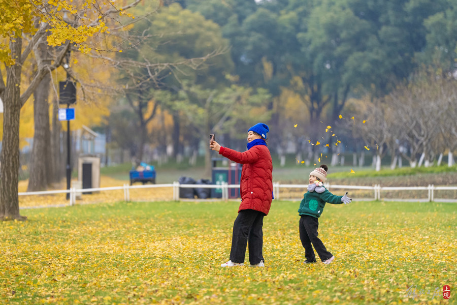 冬日上海世纪公园内遍地金黄，引游人纷纷踏足赏叶.jpg