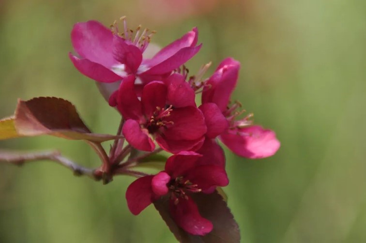 寒风乍起，秋意正浓，你想要的绝色秋光就藏在青浦！