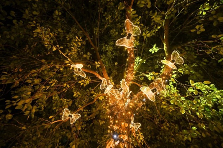 提一盏花灯入梦江南,来青浦用一场元宵灯海收官蛇年春节! 提一盏花灯入梦江南,来青浦用一场元宵灯海收官蛇年春节!