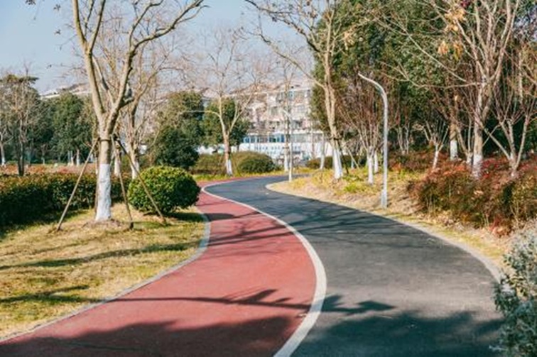 青浦河长:城中美湖,静谧安然 青浦河长:城中美湖,静谧安然