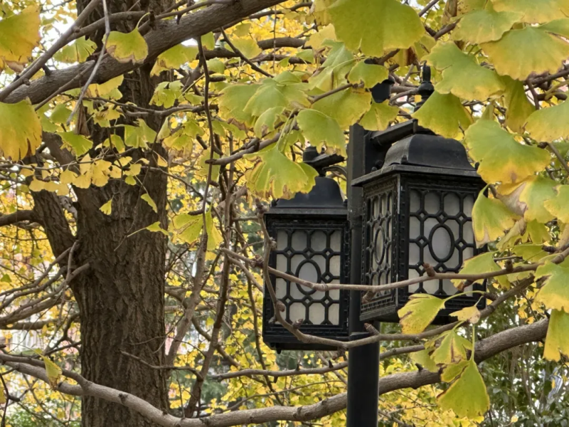 图片 6.png 图片 6.png