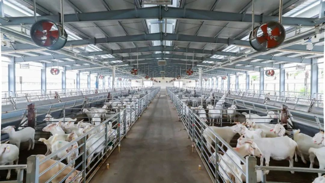 今天1656.png 今天1656.png