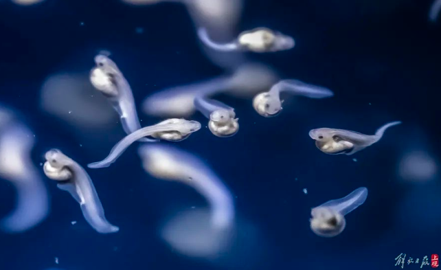 屏幕捕获_2024_10_10_09_24_56_213.png 屏幕捕获_2024_10_10_09_24_56_213.png