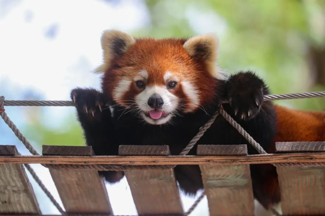 640 (2).jpg 640 (2).jpg