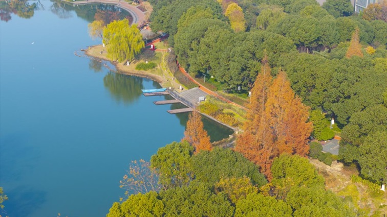 冬日“沪”水游，青浦新城：冬境绮梦，水韵流长
