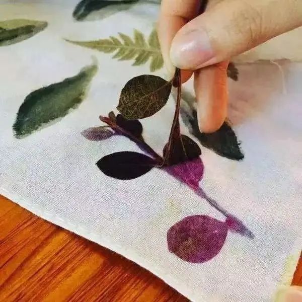 图片7.jpg 图片7.jpg