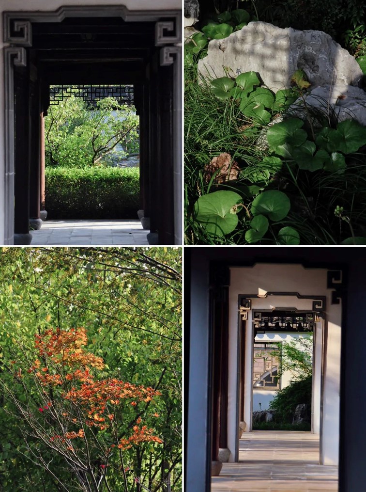 寒风乍起，秋意正浓，你想要的绝色秋光就藏在青浦！