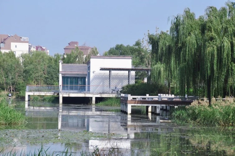 寒风乍起，秋意正浓，你想要的绝色秋光就藏在青浦！