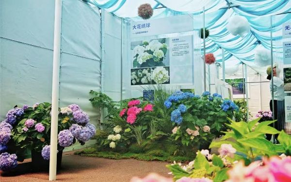 1dd8f8e3ca8b9ad661582965d1fd9c4.jpg 1dd8f8e3ca8b9ad661582965d1fd9c4.jpg