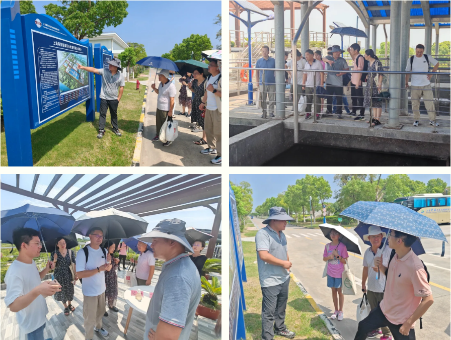 20240814102236876_70386748.png 20240814102236876_70386748.png