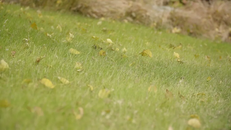 图片 9.png 图片 9.png