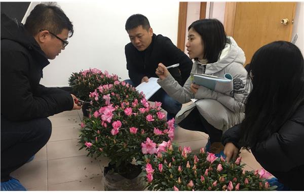 加强交流,共促发展——中国林科院热带林业研究所来沪考察花卉检测技术工作2.jpg 加强交流,共促发展——中国林科院热带林业研究所来沪考察花卉检测技术工作2.jpg