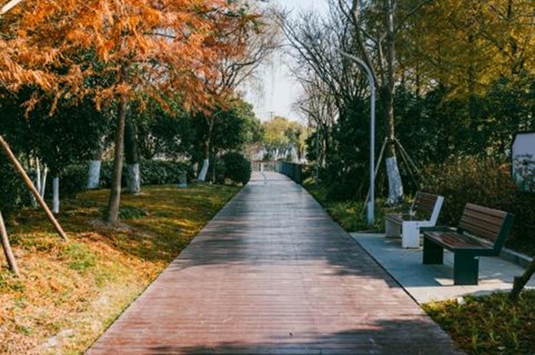 青浦河长:城中美湖,静谧安然 青浦河长:城中美湖,静谧安然