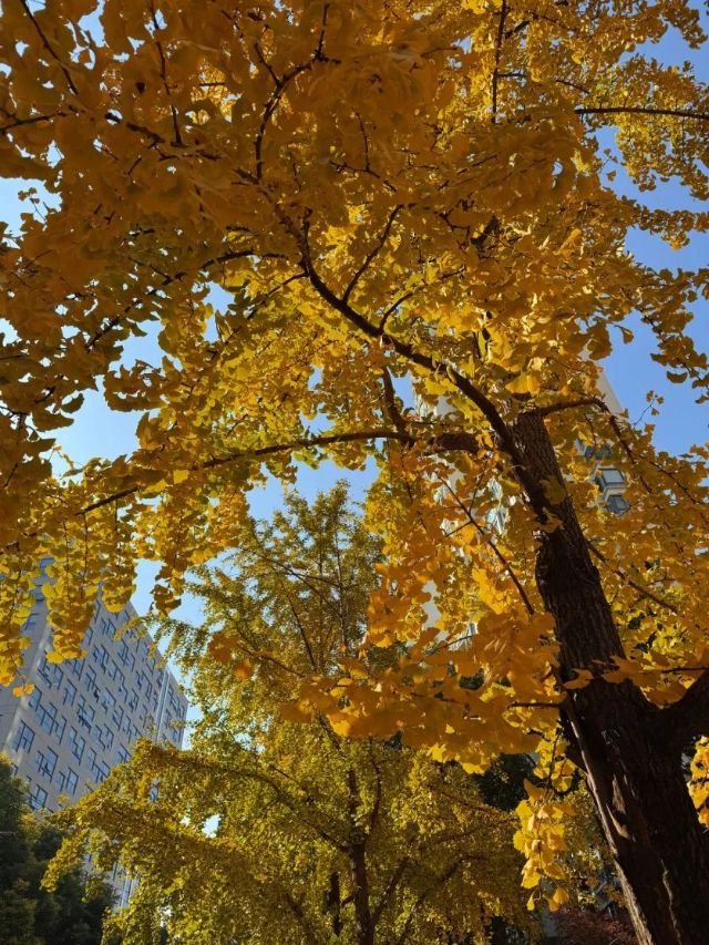 1204_104738_537.jpg 5.jpg