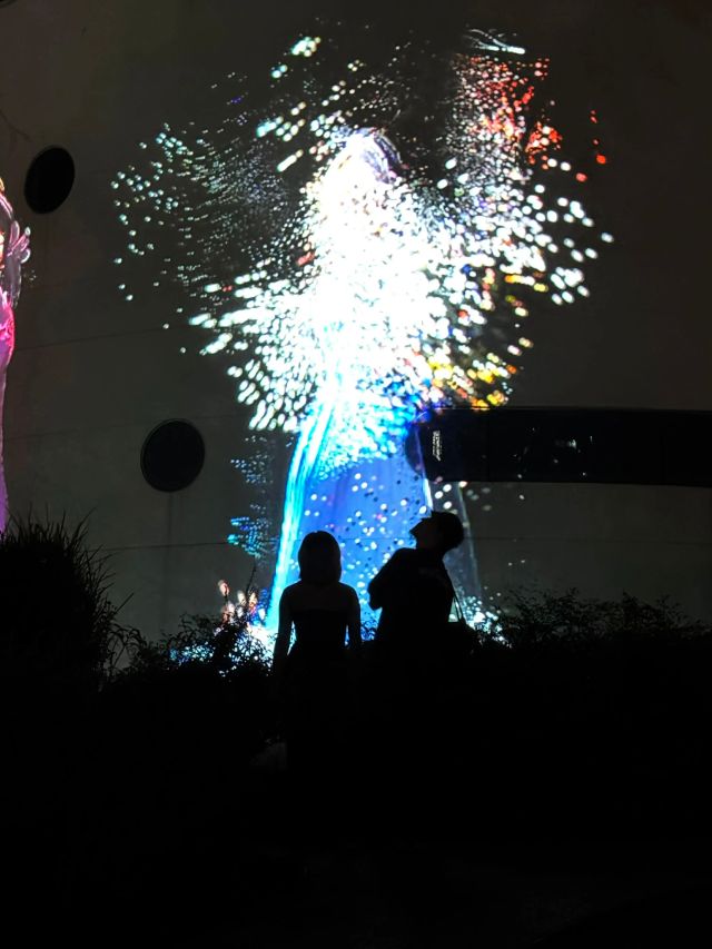 1015_141332_569.jpg 微信图片_20241015101817.jpg