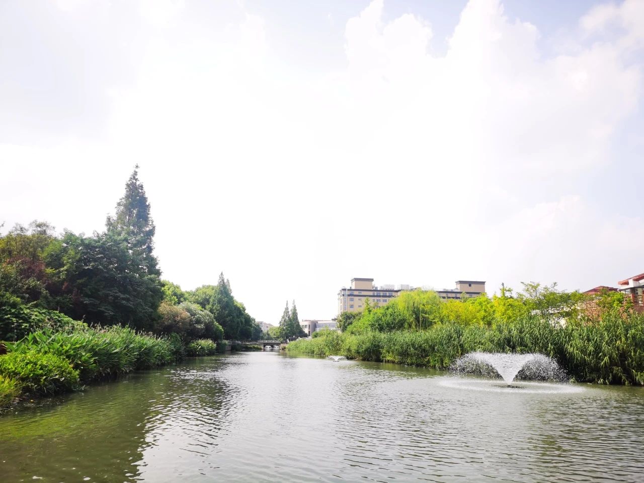 水清、河畅、岸绿……长宁解锁河道变美的“密码”2.jpg 水清、河畅、岸绿……长宁解锁河道变美的“密码”2.jpg