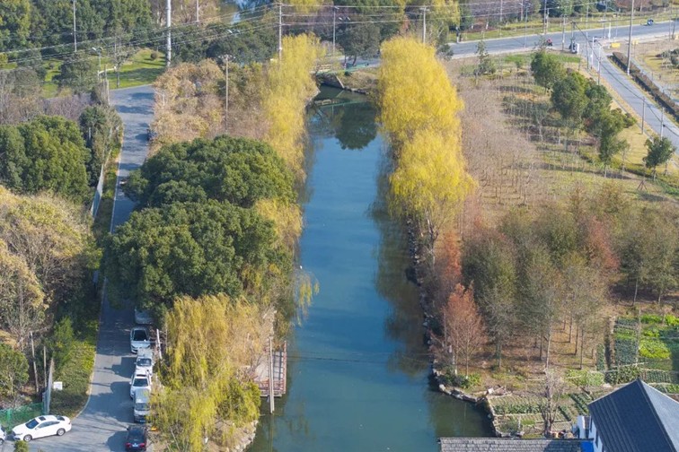 江南春景水一半，12处小流域绘青浦生态美域