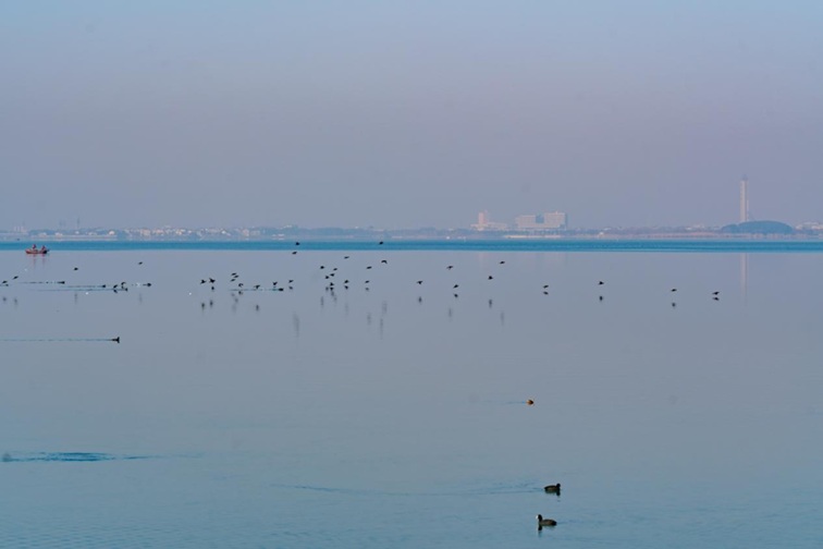 来青浦,骑行在青西“大河大湖”,太酷了! 来青浦,骑行在青西“大河大湖”,太酷了!