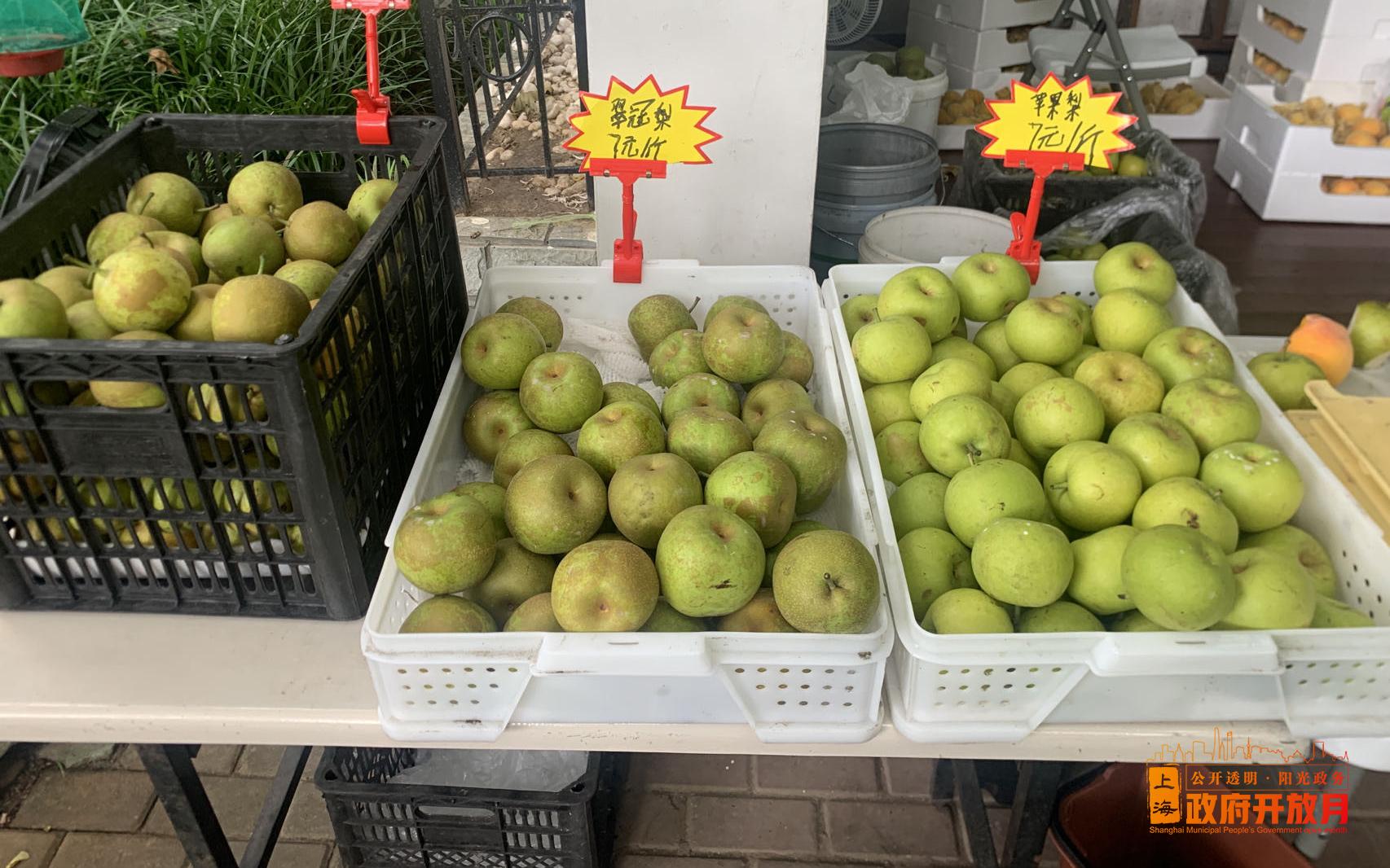 为民办实事—2023年夏季果品进公园活动圆满落幕3.jpg 为民办实事—2023年夏季果品进公园活动圆满落幕3.jpg