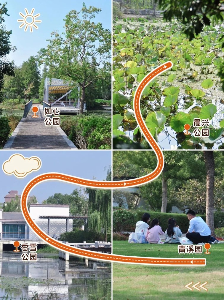 寒风乍起，秋意正浓，你想要的绝色秋光就藏在青浦！