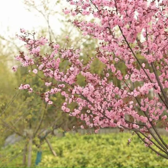 0407_121736_496.jpg 微信图片_2025-04-07_121407_930.jpg