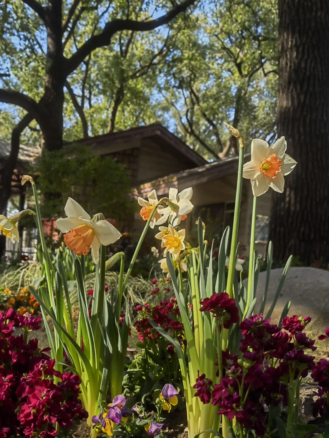 图片 3.png 图片 3.png