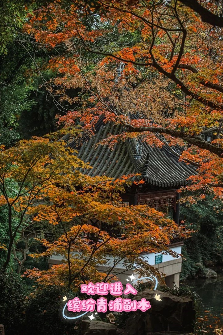 “宿主”您好，请领取主线任务：寻找青浦红叶地图！