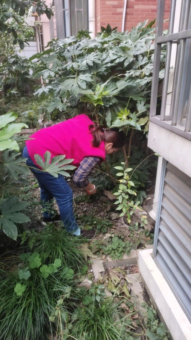 1101_133636_476.jpg 微信图片_20241101101247.jpg