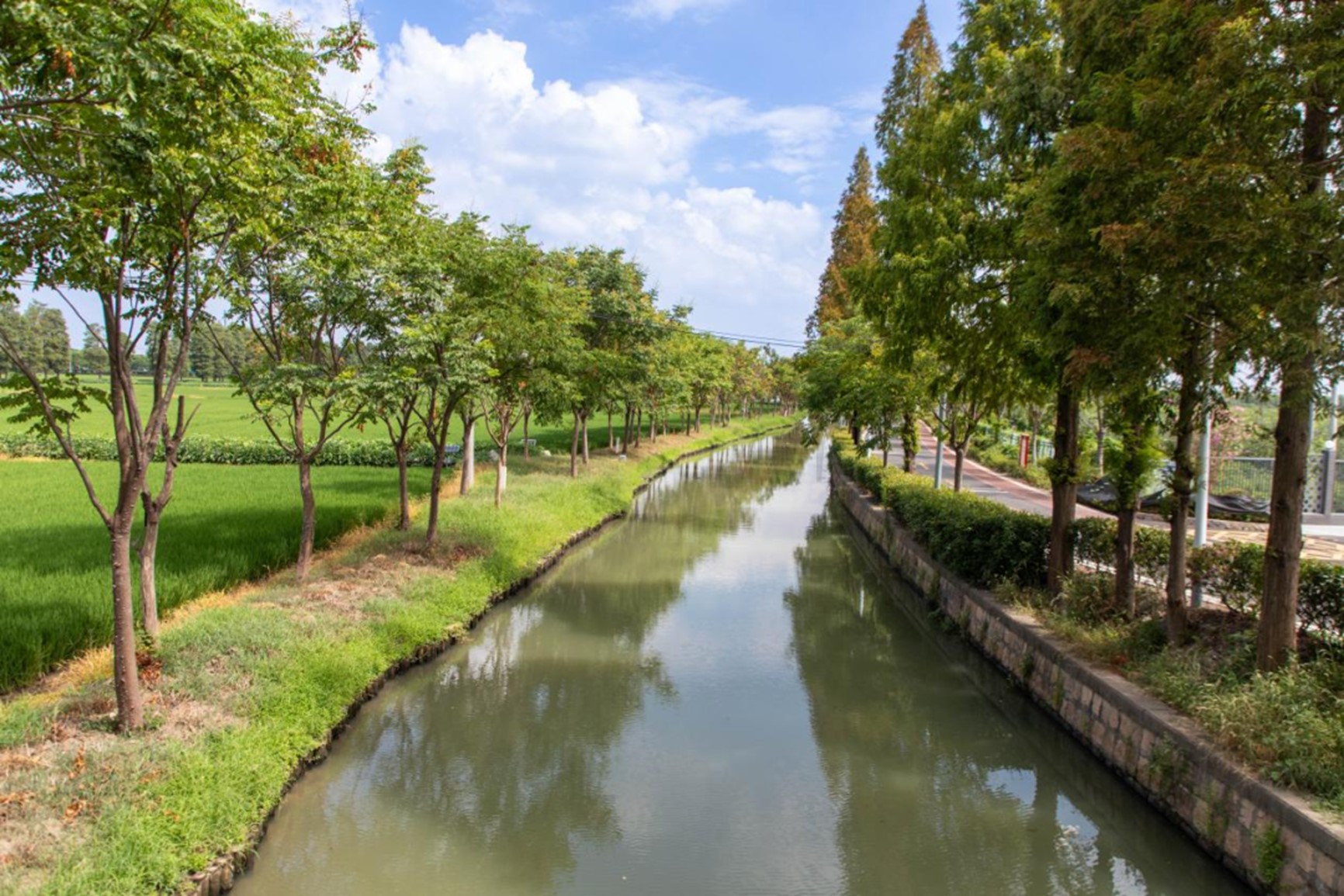 秋日“沪”水游丨青浦,江南秋日胜春朝 秋日“沪”水游丨青浦,江南秋日胜春朝