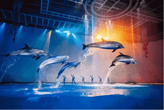 微信图片_20250909130920_64.png 微信图片_20250909130920_64.png