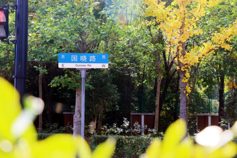 图片 11.png 图片 11.png