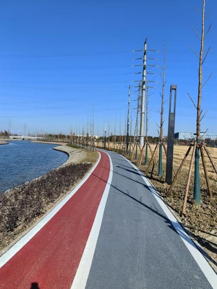 青浦新城绿环绿道一期工程基本贯通！这份“森呼吸”地图请收好