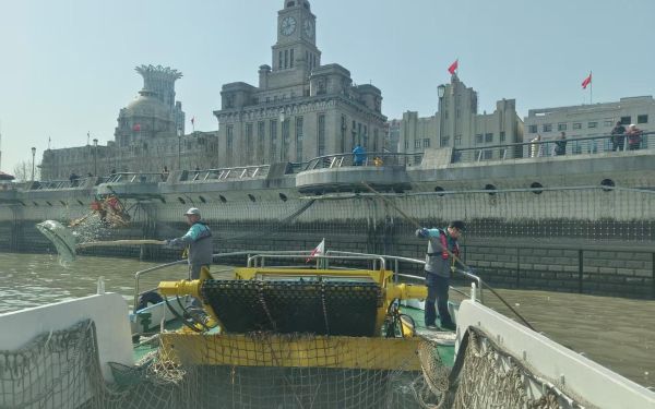 29 (4).jpg 29 (4).jpg