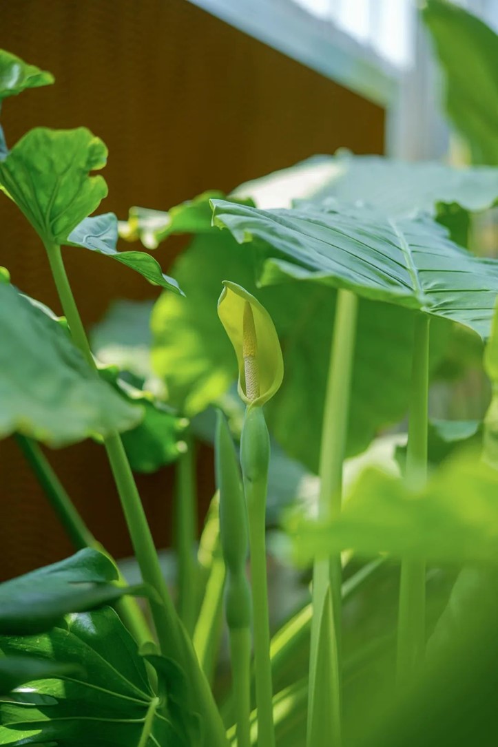 会·聚青浦|这条既City又Country的旅“行”,才是当代人的最爱! 会·聚青浦|这条既City又Country的旅“行”,才是当代人的最爱!