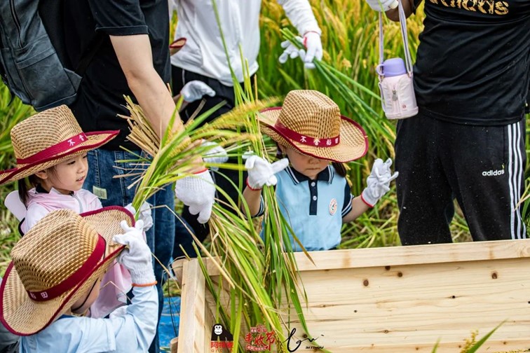 香满秋·一起游丨去青浦来场CountryWalk，遇见金秋盛景！