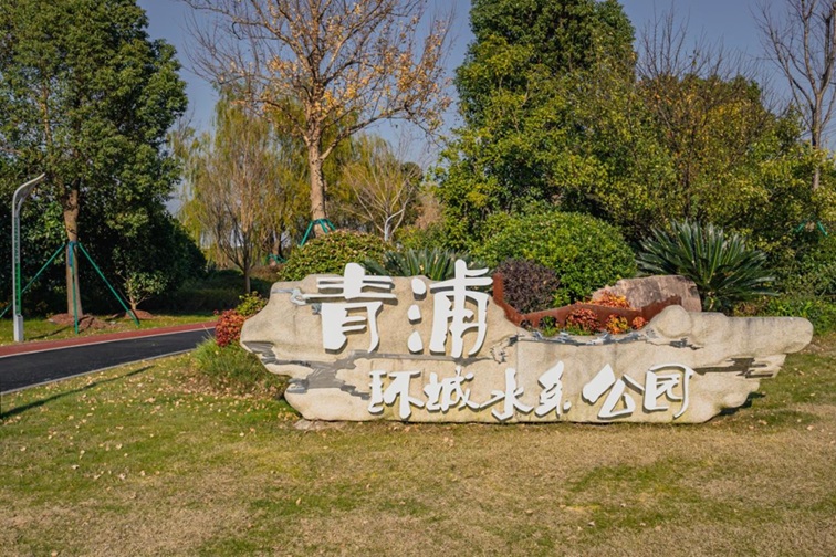 冬日“沪”水游，青浦新城：冬境绮梦，水韵流长
