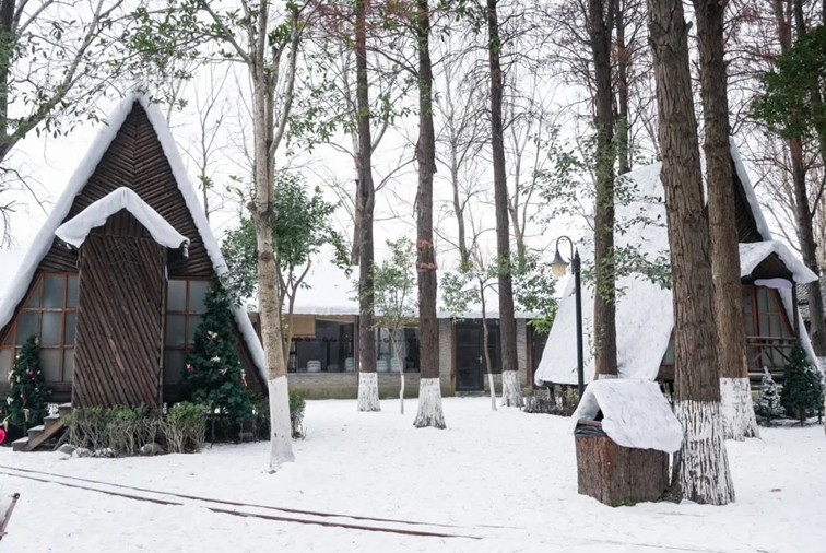 过大年·来青浦丨“蛇”我其谁~青浦近50场新春活动等你“过·来”玩！