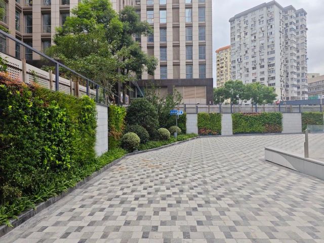 1119_122734_736.jpg 微信图片_20241119122631.jpg