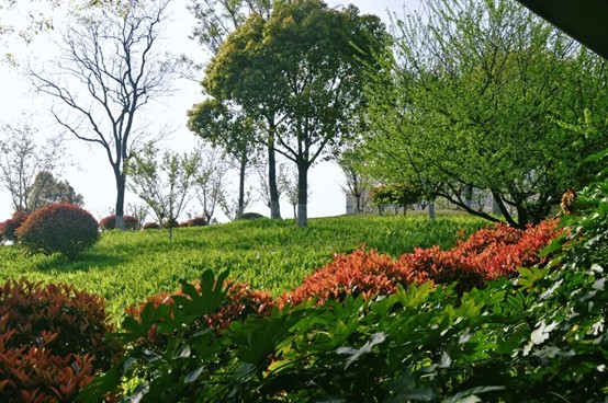 2026逛青浦环城水系公园指南