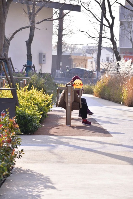 2026逛青浦环城水系公园指南