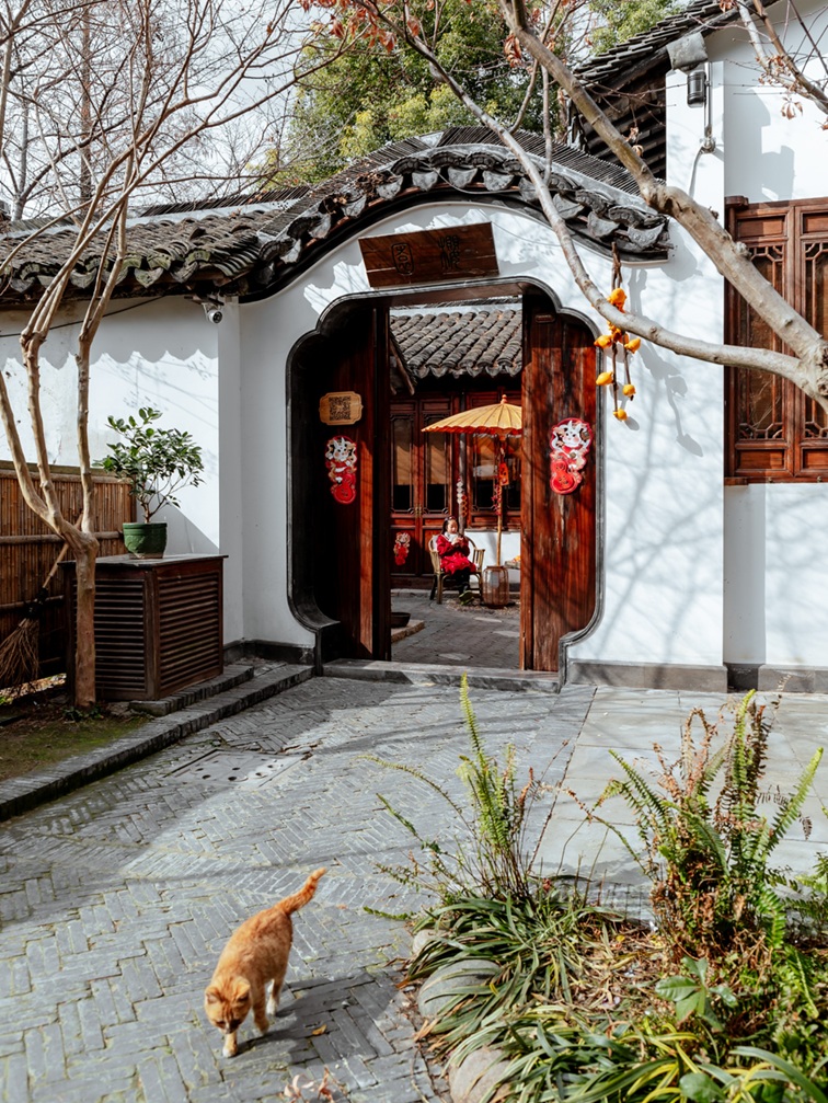 过大年·来青浦丨“蛇”我其谁~青浦近50场新春活动等你“过·来”玩！