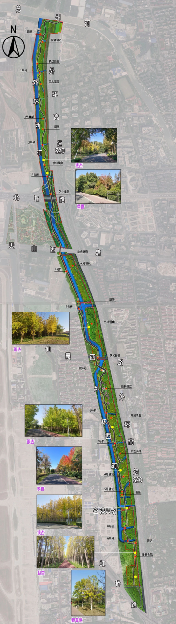 开启沪上的秋日宝藏美景!长宁外环生态绿道骑行推荐.png 开启沪上的秋日宝藏美景!长宁外环生态绿道骑行推荐.png