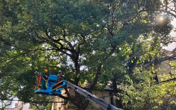 35ba6c01c56388ff6edb356822e2d528.jpg 35ba6c01c56388ff6edb356822e2d528.jpg