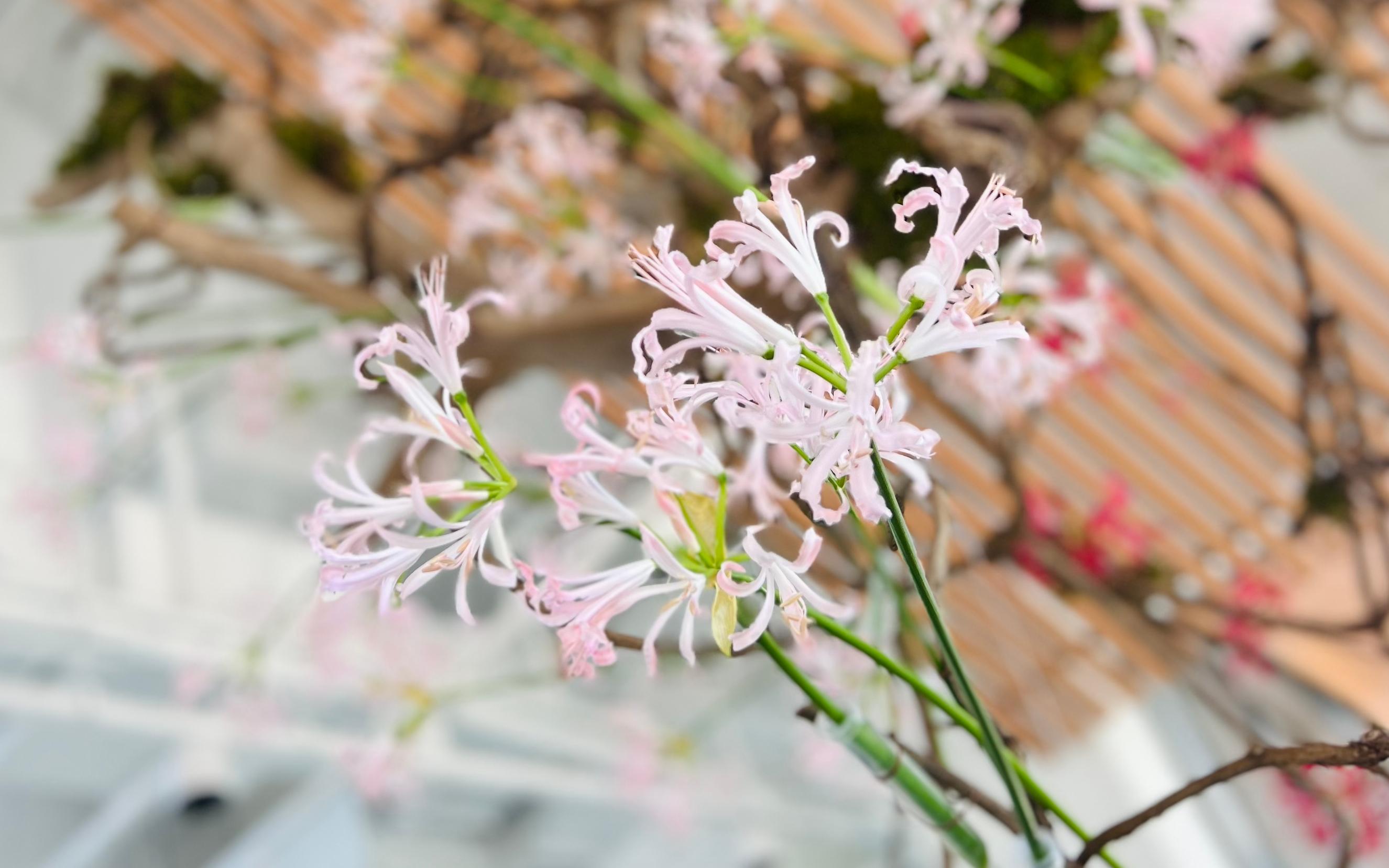 9d61a7c3d358f7f0ce6783d9a9c58e5.jpg 9d61a7c3d358f7f0ce6783d9a9c58e5.jpg