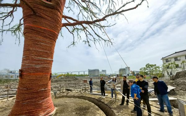 上海市林业总站对超大规格单株东方杉移植工作开展跟踪监管与技术指导2.jpg