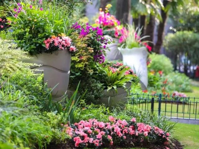 0812_141550_479.jpg 640 (18).jpg