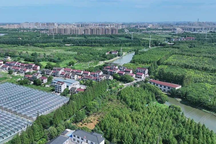 江南春景水一半，12处小流域绘青浦生态美域