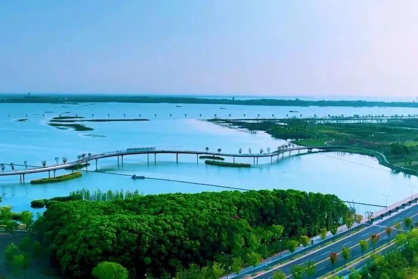 1223_095306_695.jpg 1223_095306_695.jpg