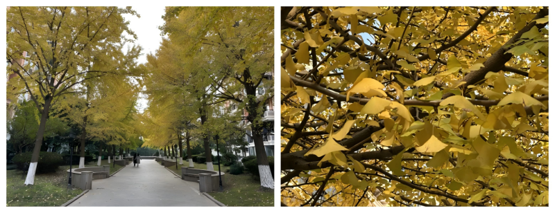 WPS拼图1.png WPS拼图1.png