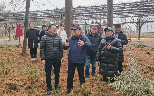 市林业总站携手专家 为上海森林质量提升精准施策2.jpg 市林业总站携手专家 为上海森林质量提升精准施策2.jpg